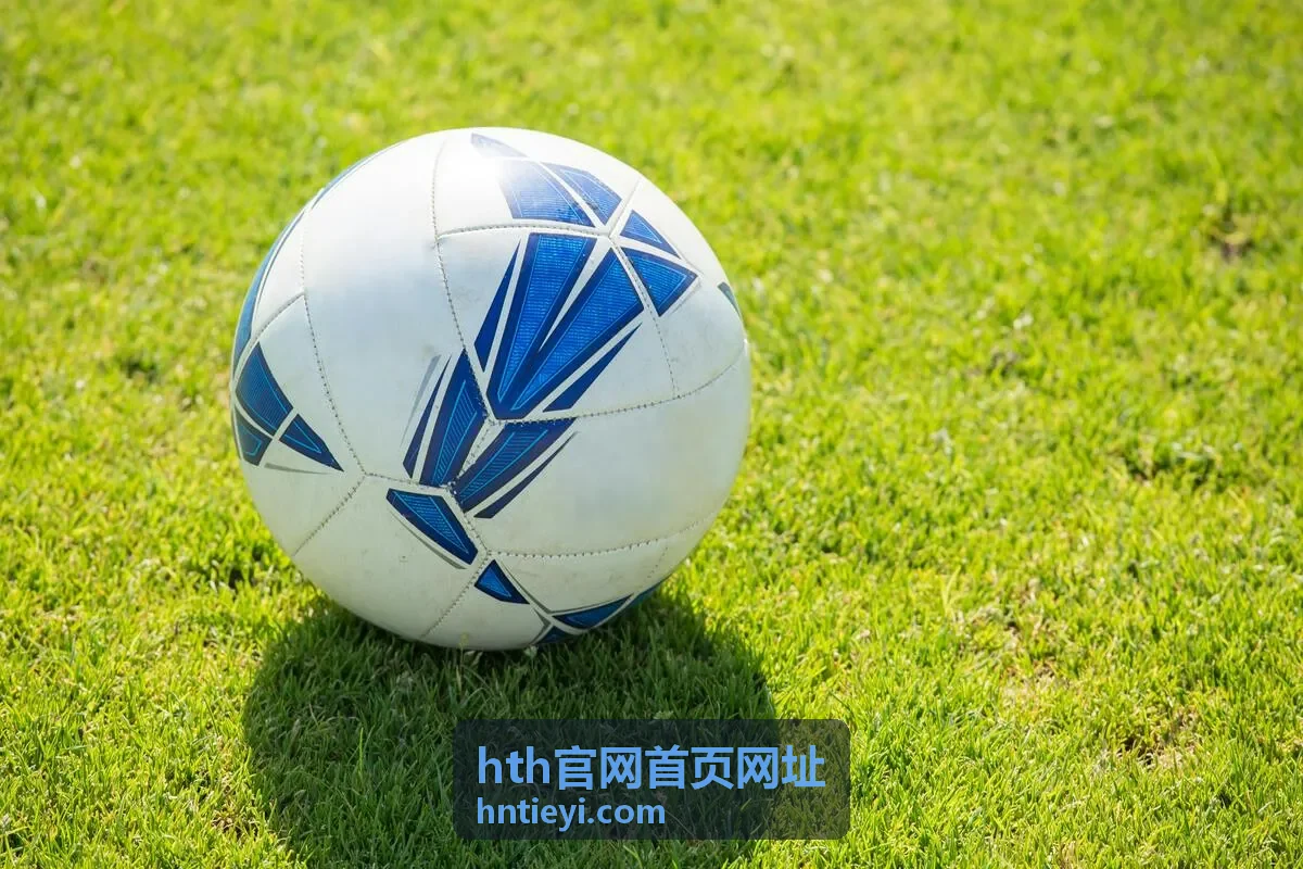 hth官网首页网址会员等级划分总览