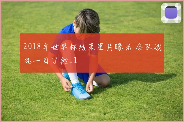 2018年世界杯结果图片曝光 各队战况一目了然_1