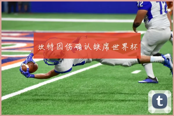坎特因伤确认缺席世界杯