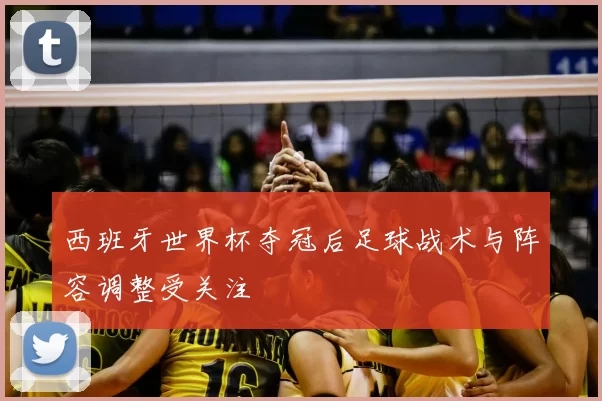 西班牙世界杯夺冠后足球战术与阵容调整受关注