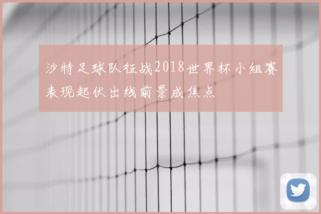 沙特足球队征战2018世界杯小组赛表现起伏出线前景成焦点